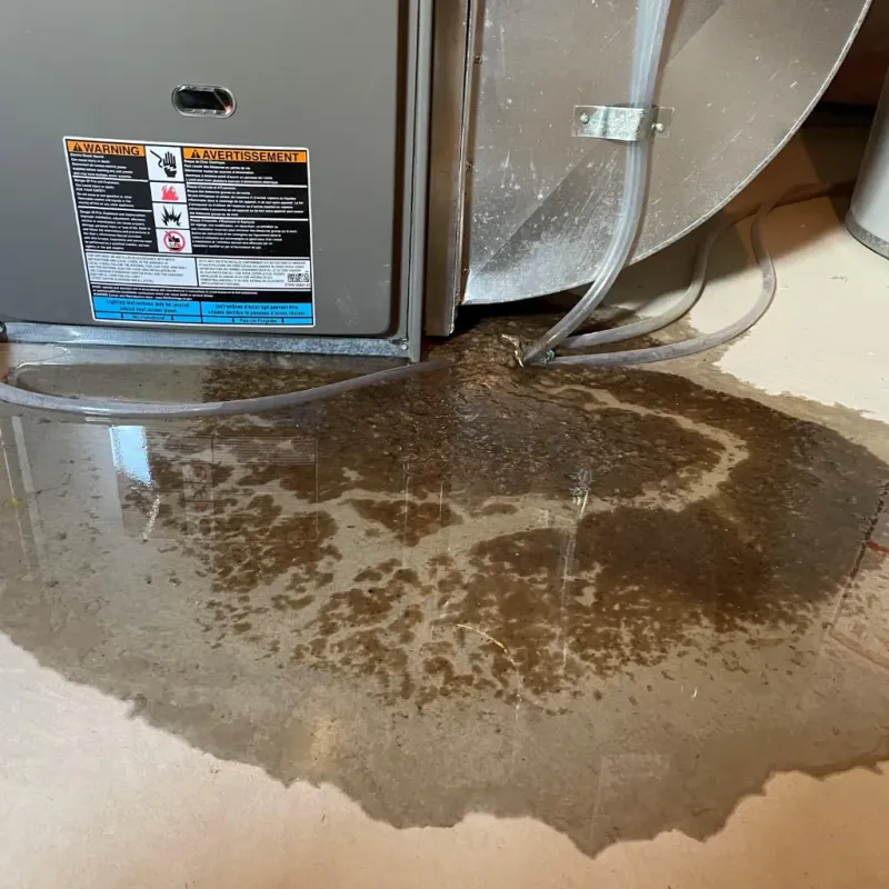 Appliance Leak Cleanup in McGregor, TX