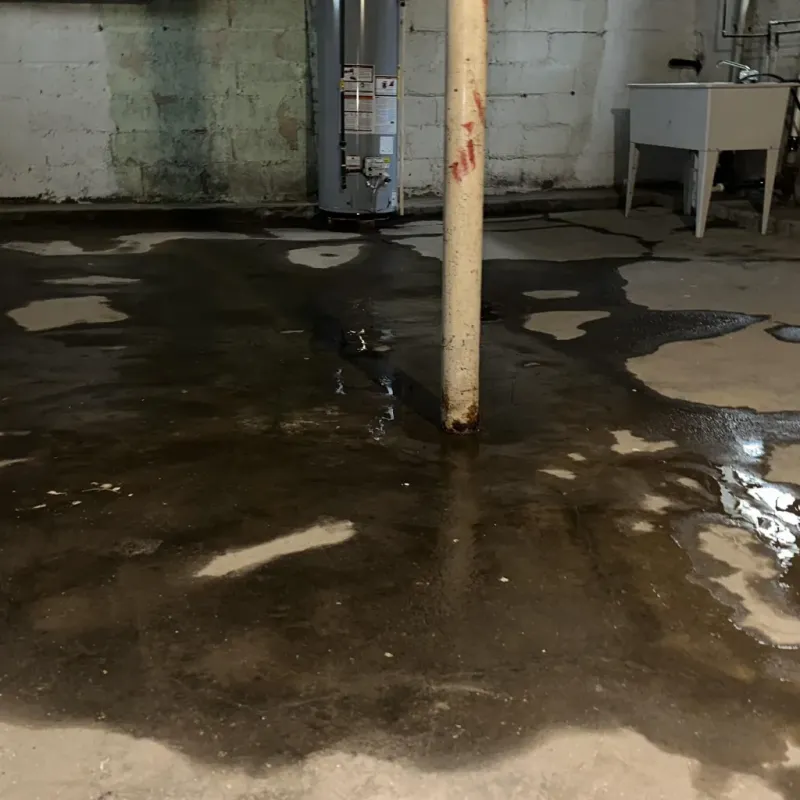 Emergency Water Extraction And Removal in McGregor, TX